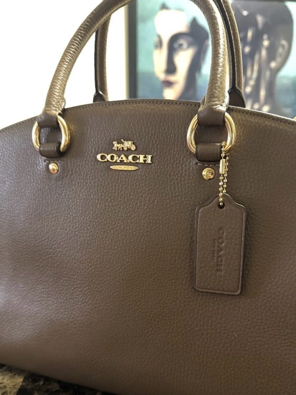 Coach Pebbled Leather Satchel in Dark Brown